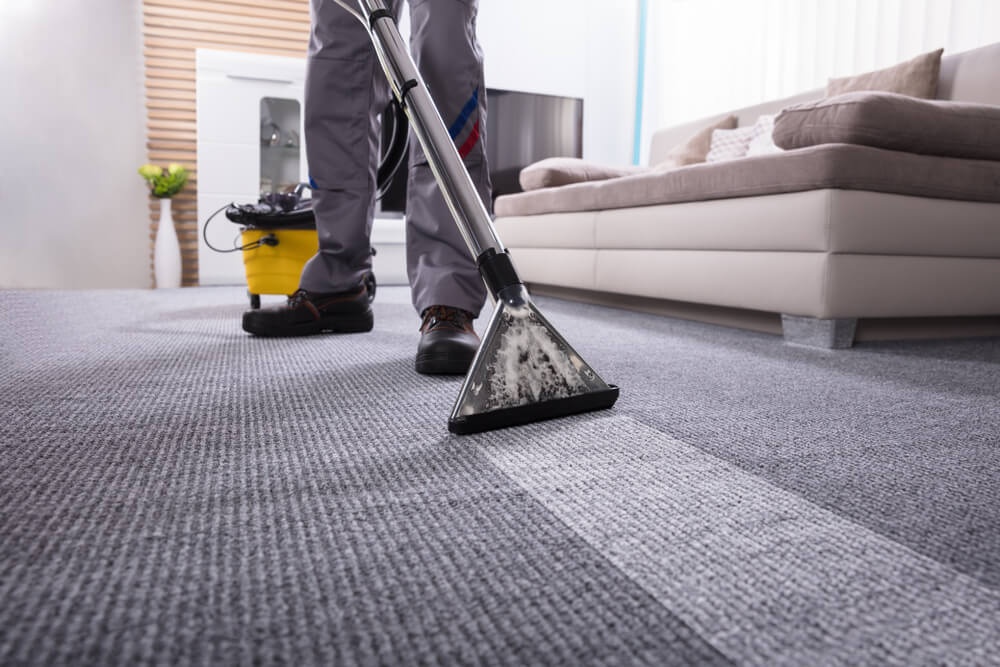 carpet-cleaning-services carpet-cleaning-services